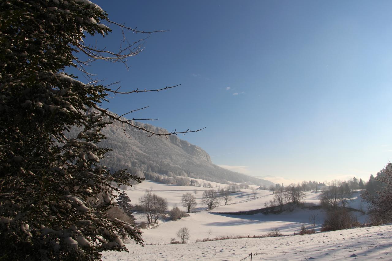 Cafe Brochier Hotel Saint-Julien-en-Vercors Exteriör bild